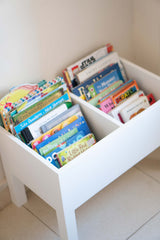 Book Bin Shelving Unit (Double)