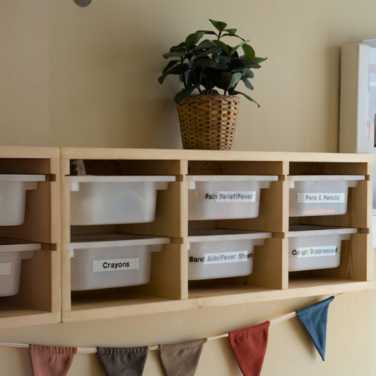 Wall-Mounted Storage Unit