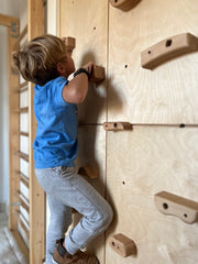 Rock-Climbing Wall