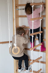 Swedish Ladder